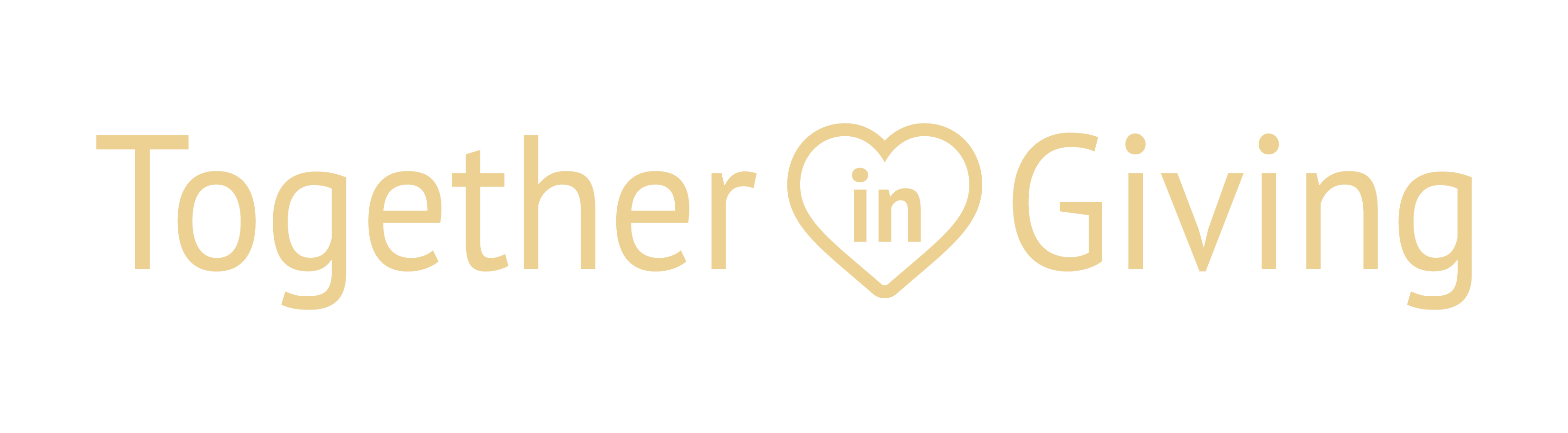 TIG logo